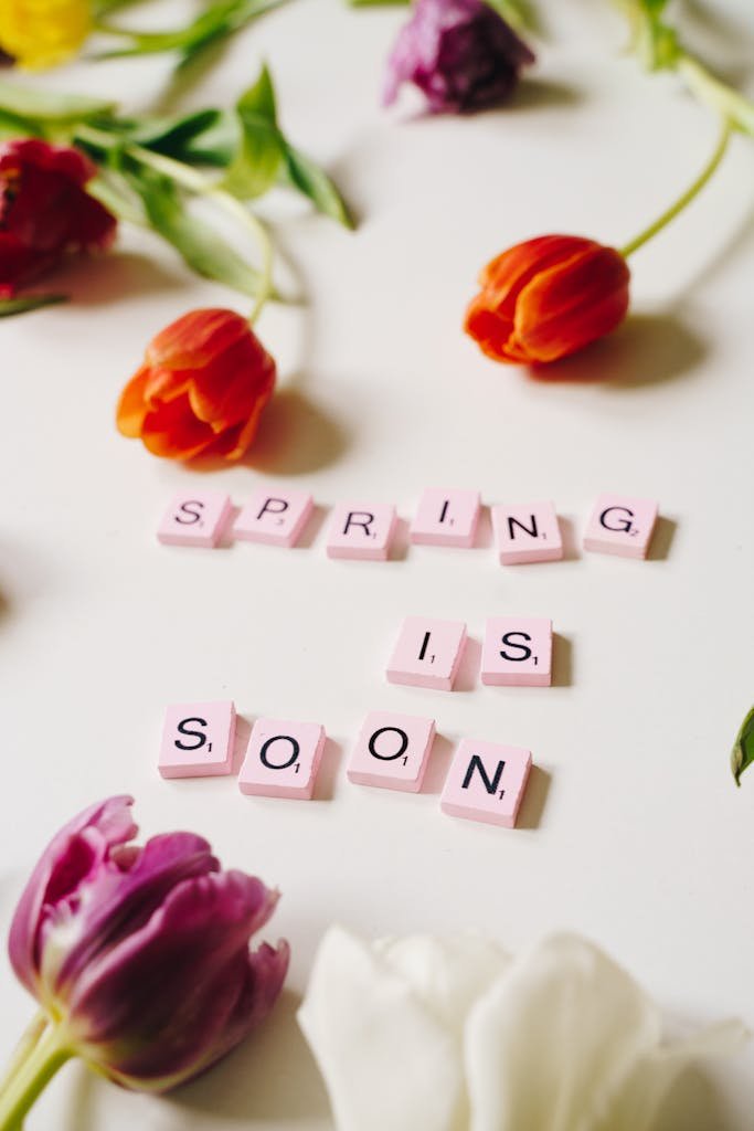 Vibrant tulips surround Scrabble tiles spelling 'Spring is soon' in a cheerful arrangement.